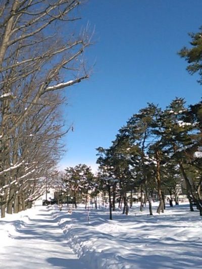 札幌円山公園